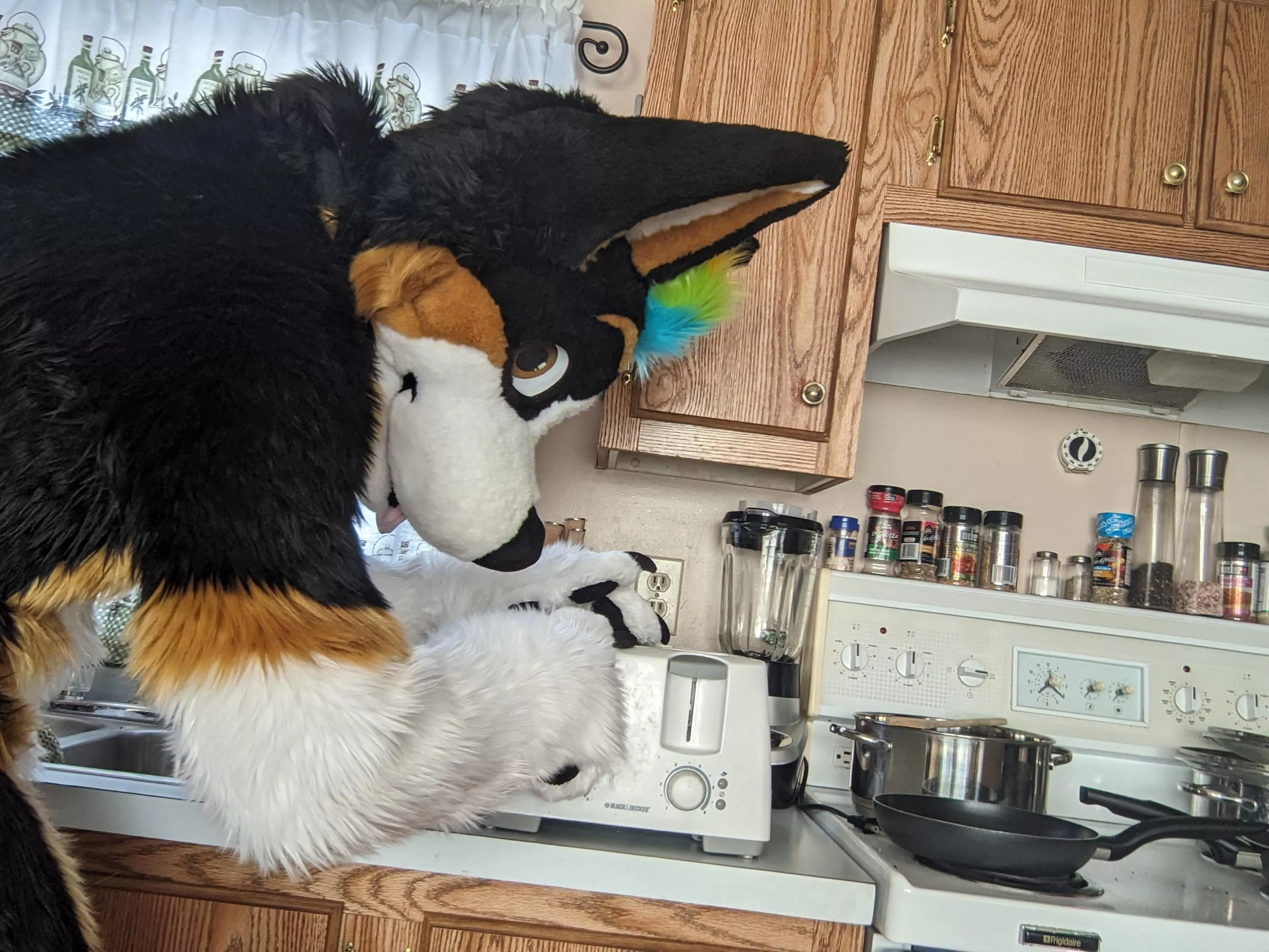 An insight on how burnt loaves maintain their looks