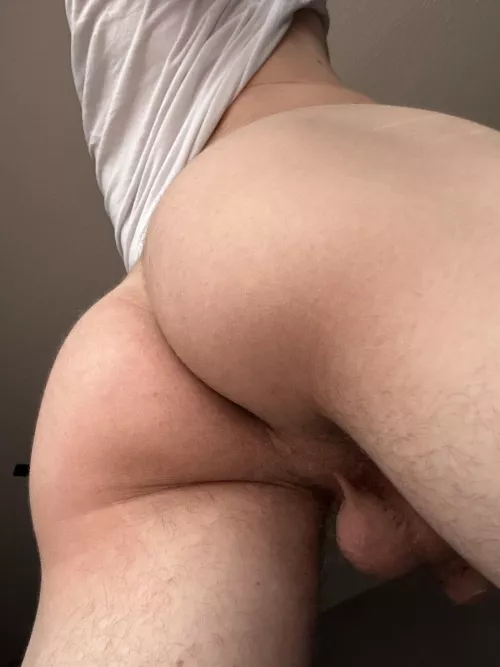 Can someone smash their face into this please??