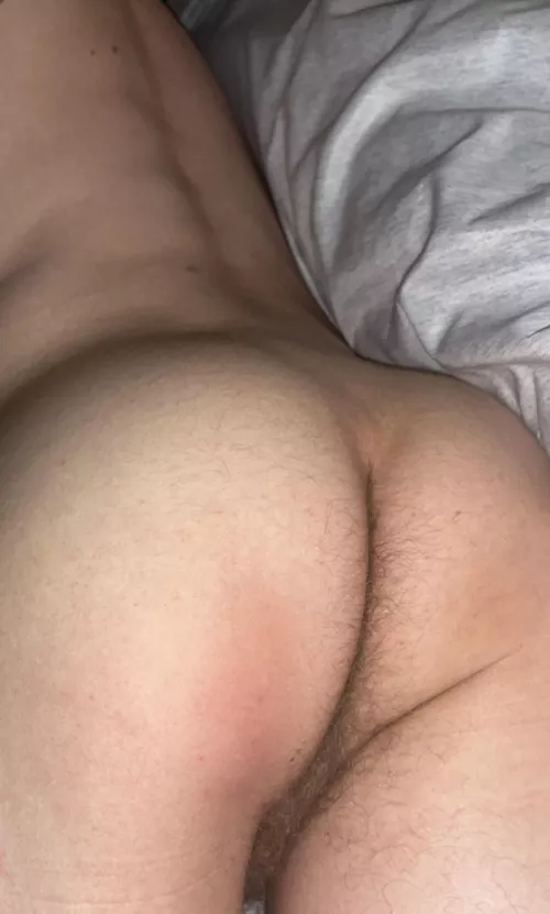 do you like hairy taints?