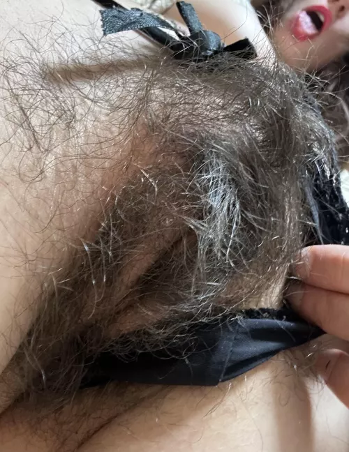 Explore my full bush