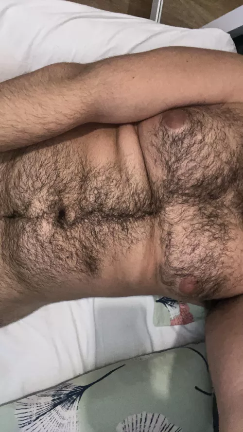 Hairy arab chest