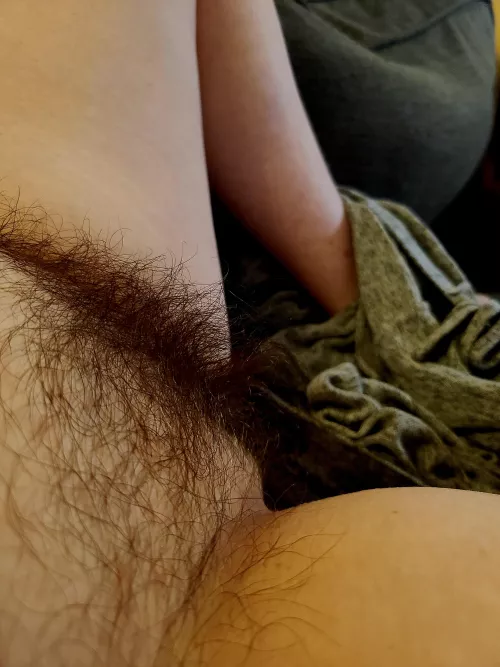 Hairy fantasy