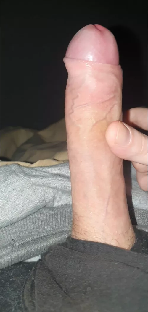 I like showing off my dick
