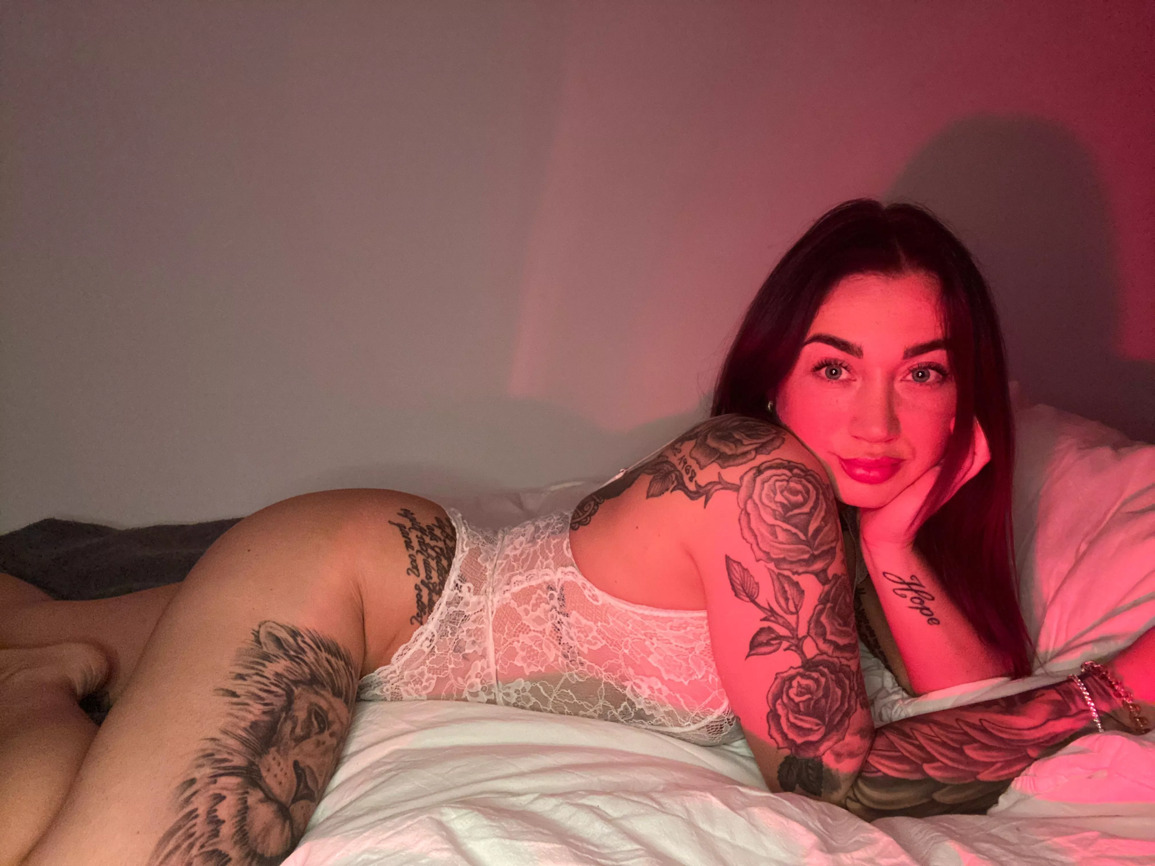 is that a nice welcome ?