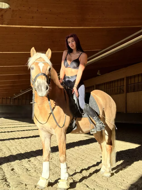 let me drive you crazy