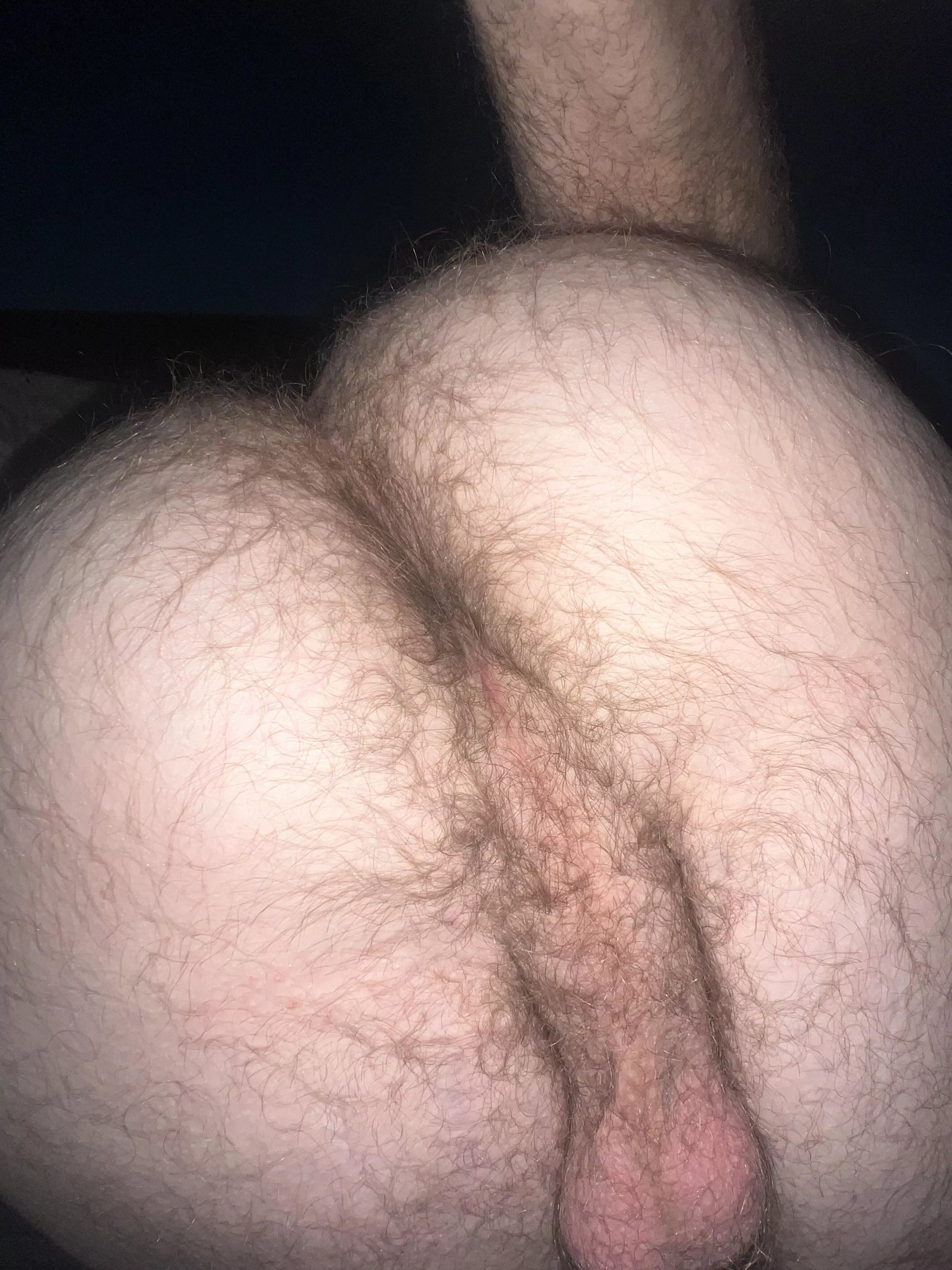 Lick my hairy ass all you want 👅