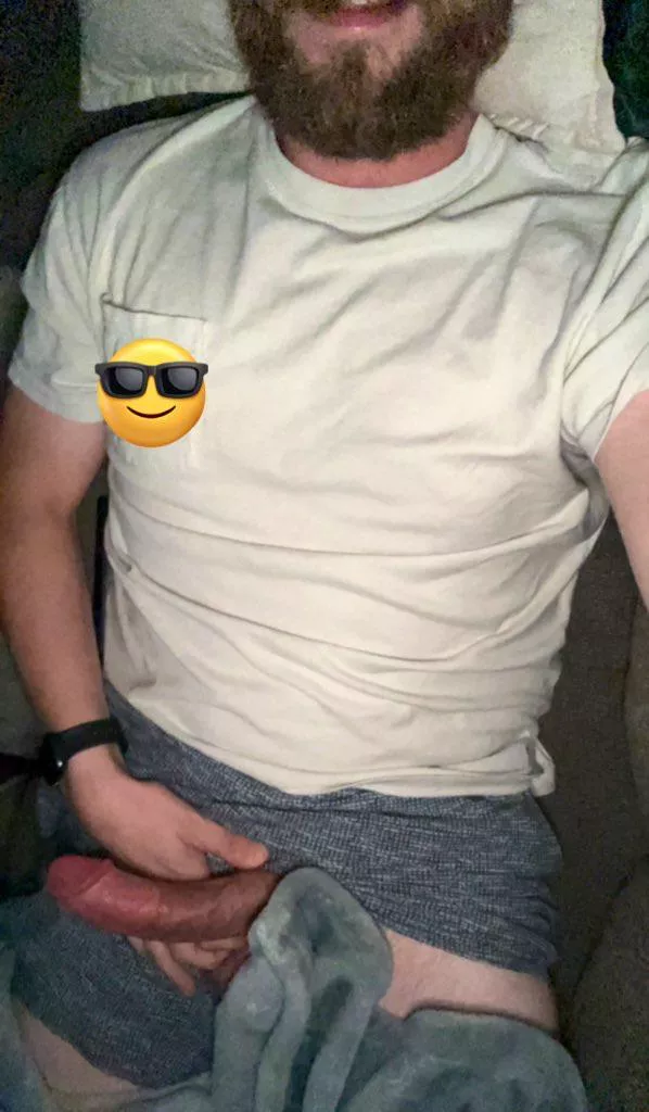 Morning wood on the couch