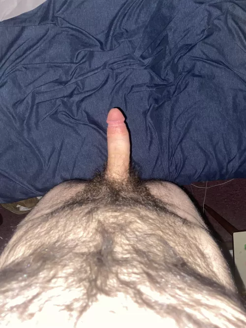 My bush 👍🏻 or 👎🏻