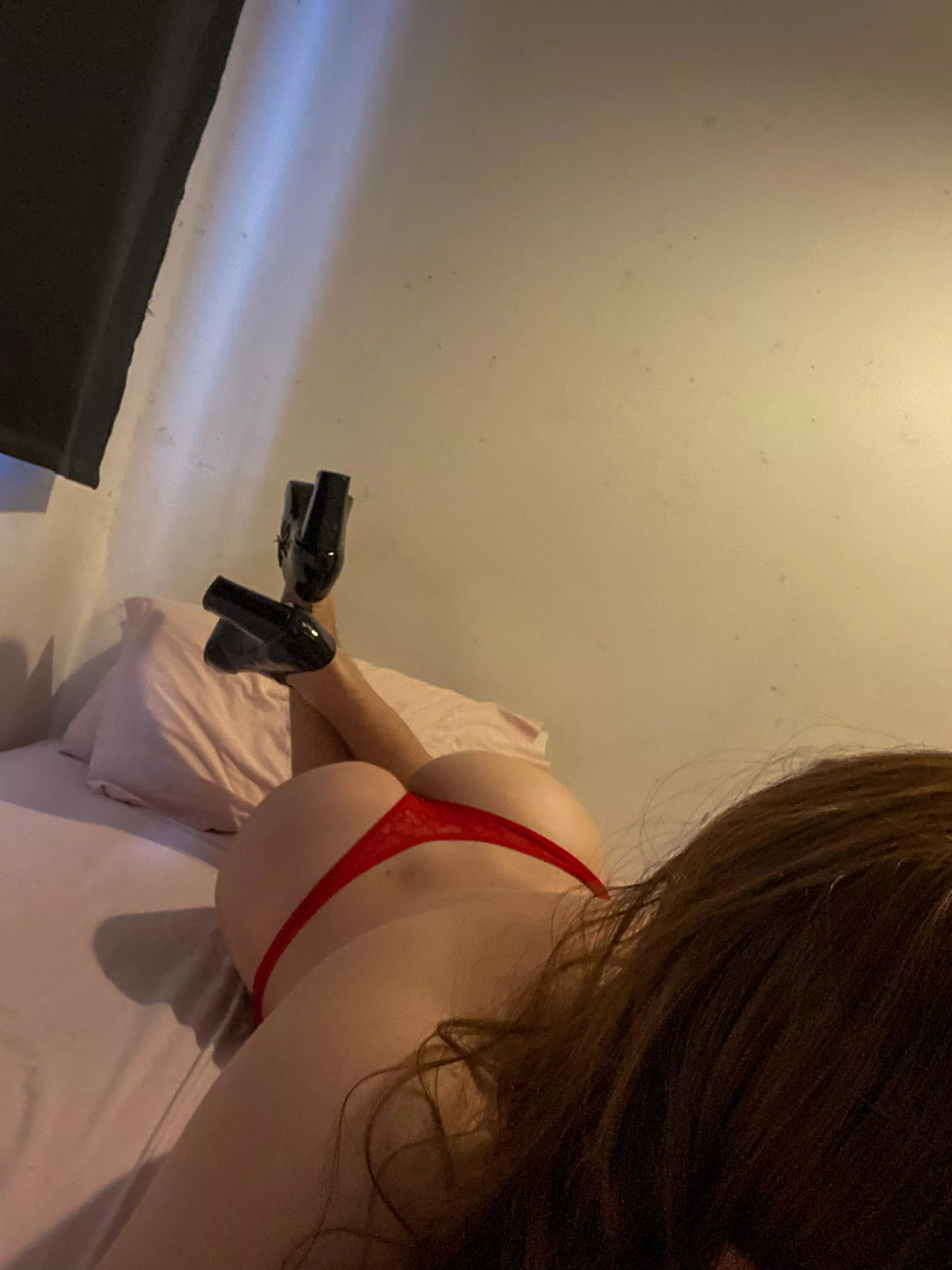 Please breed me ✌️