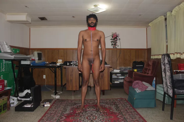 Puppy wants an owner