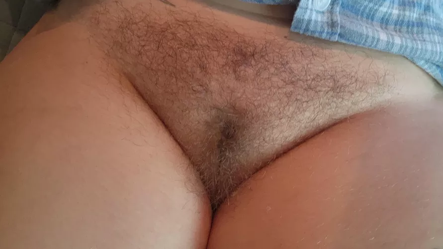 Run your fingers through my bush baby