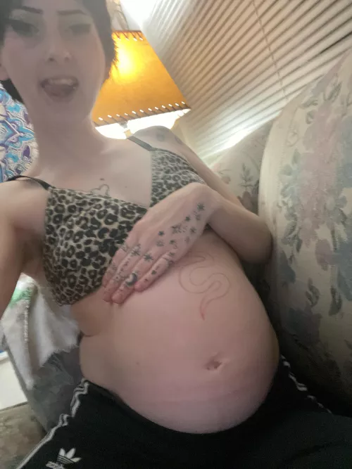 Short haired pregnant chick ready to be stuffed 👅 OC