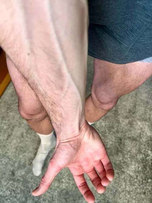 The sunlight is hitting perfectly