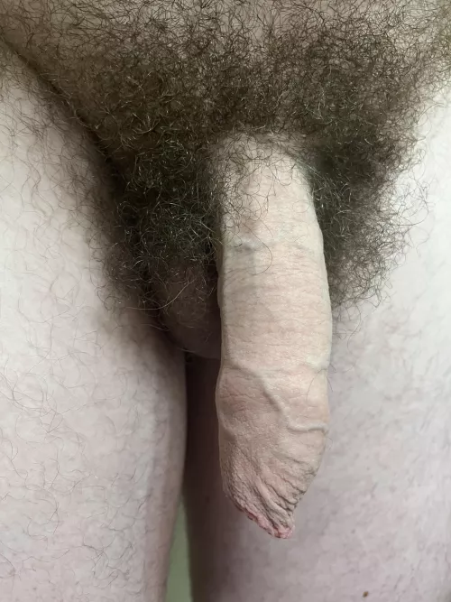 Thoughts on my foreskin?