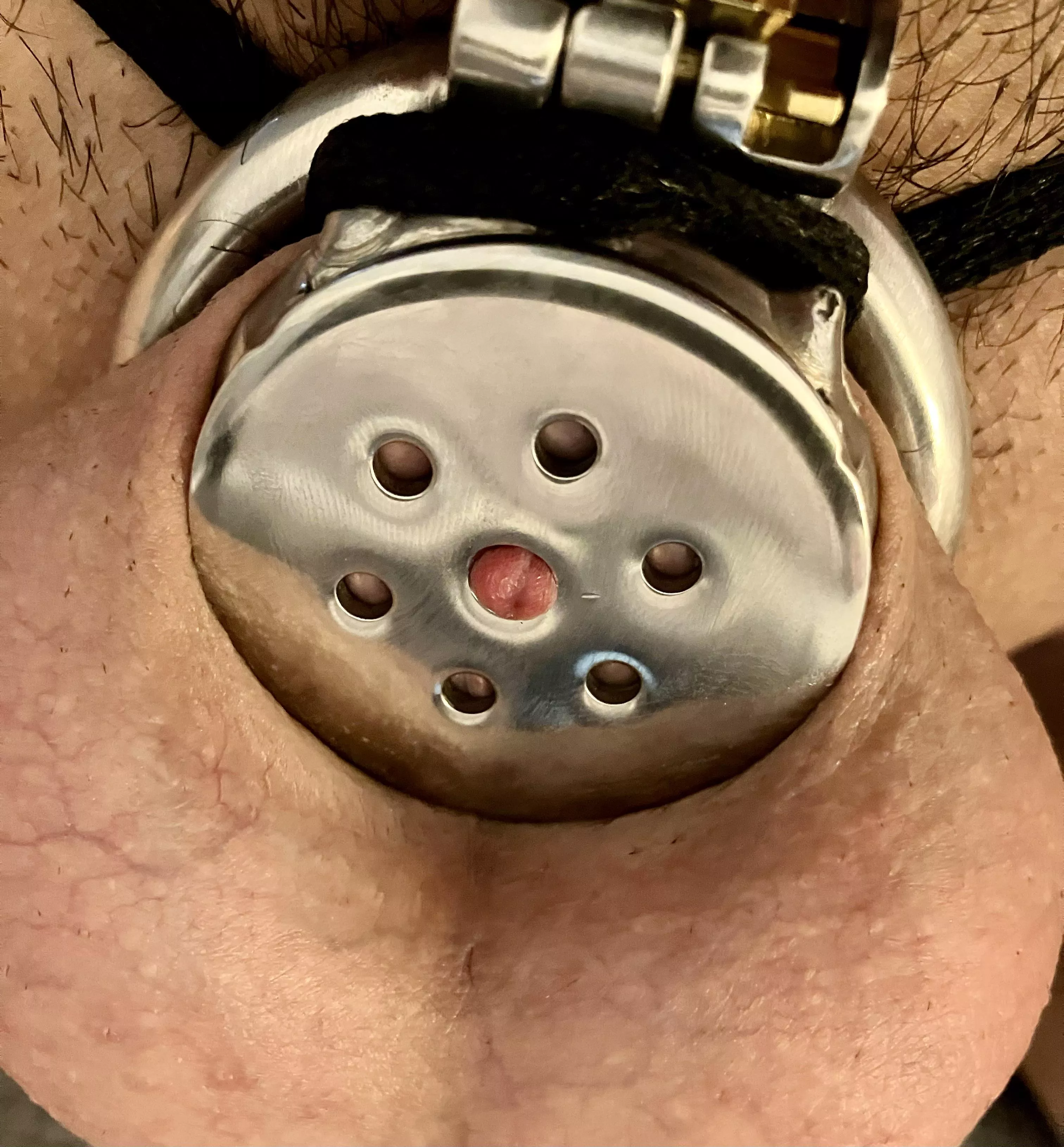 What a beauty ❤️ want his keys?