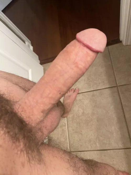 Would you enjoy breeding with an older man? [51]