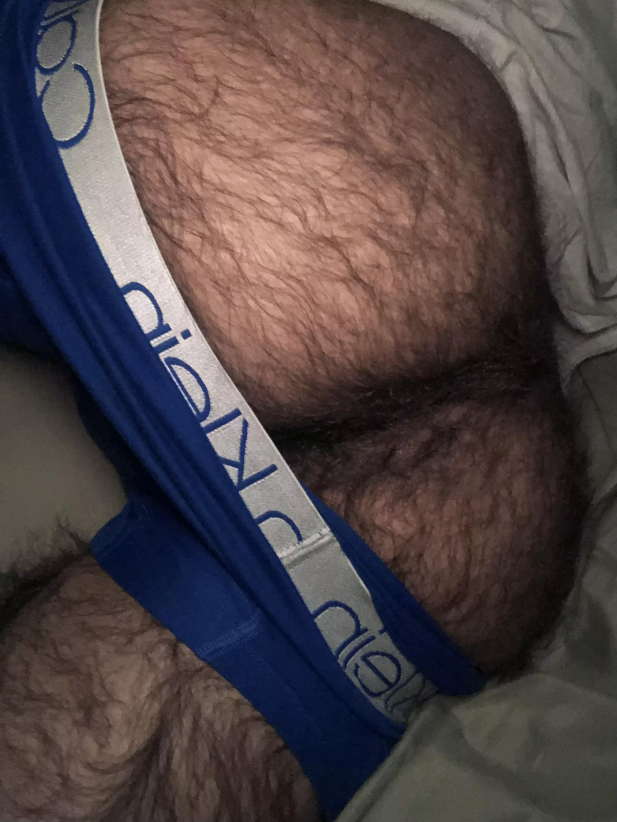 Would you take a hike in this forest I got growing down there?