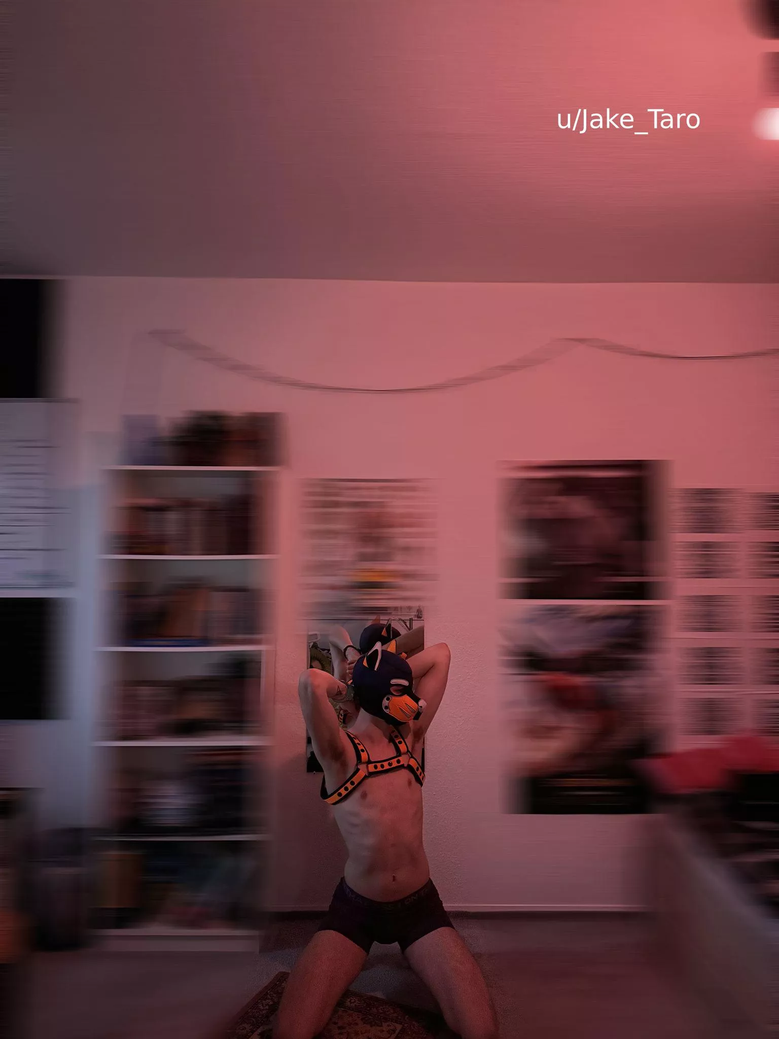 (20) sniff or pass? 😅