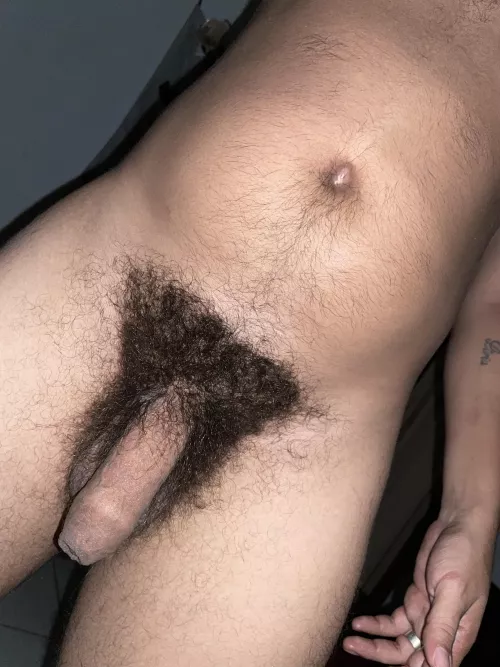 A dense and sweaty bush