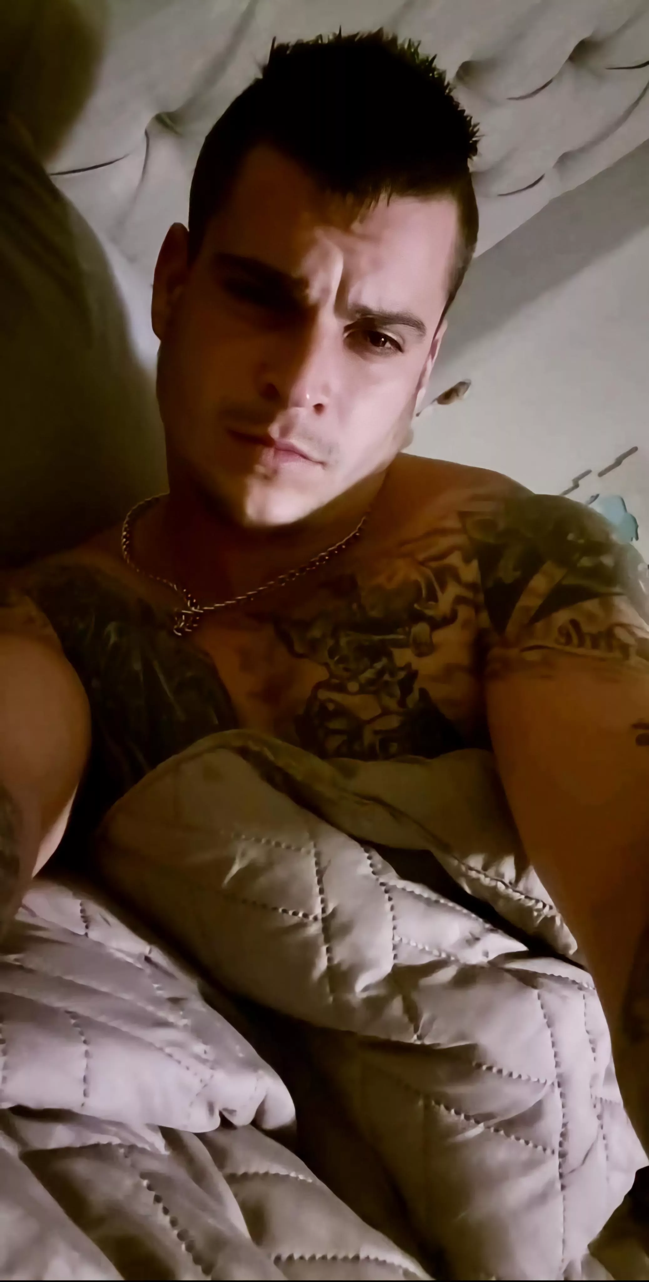 Can't sleep... keep me company?