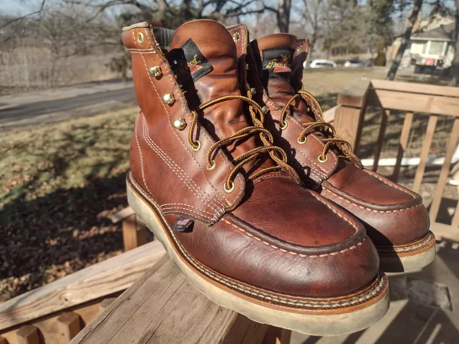 Cleaned and conditioned the money makers.