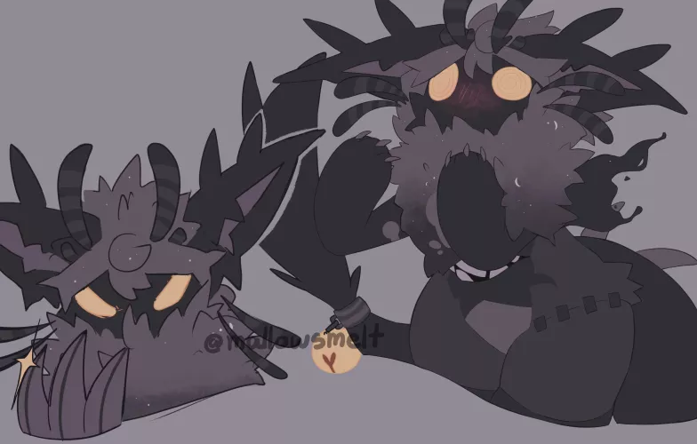 Cute lil Fluffy Cat!