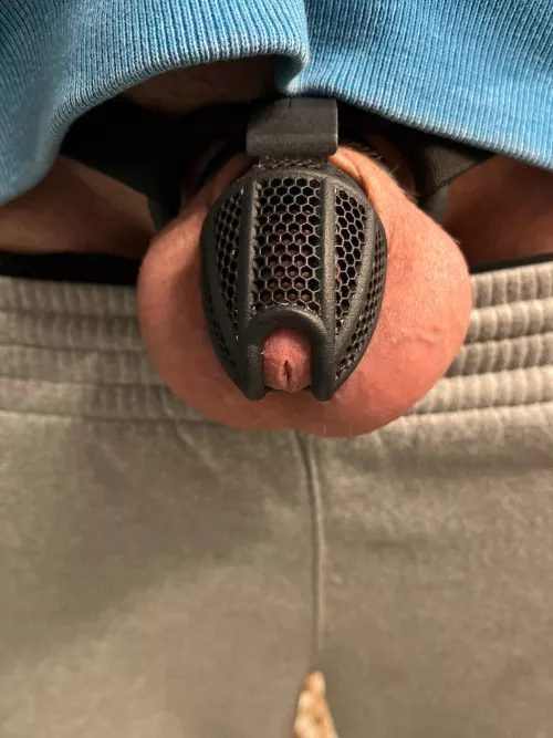 Day 5 of ??? Feeling extra full today