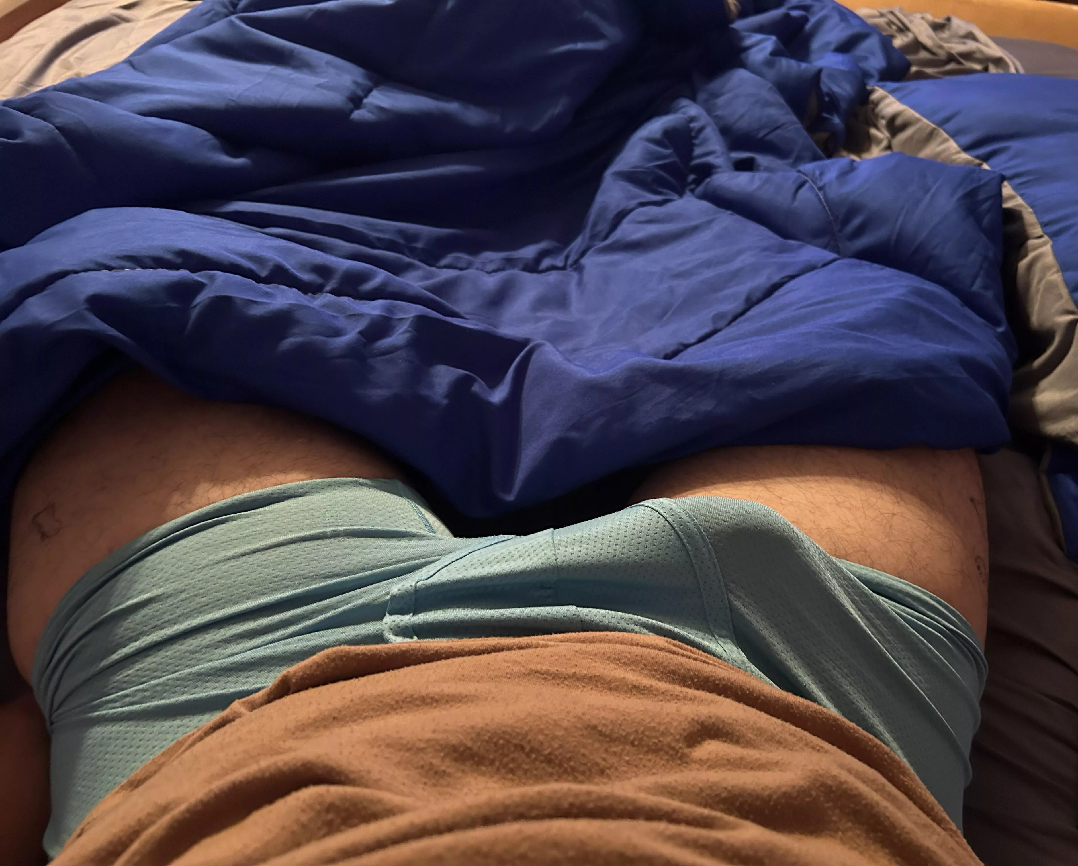 Does this softy count ?