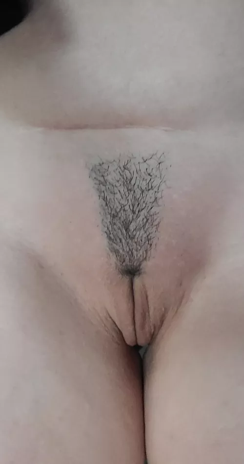 Freshly trimmed simp ready for a workout.