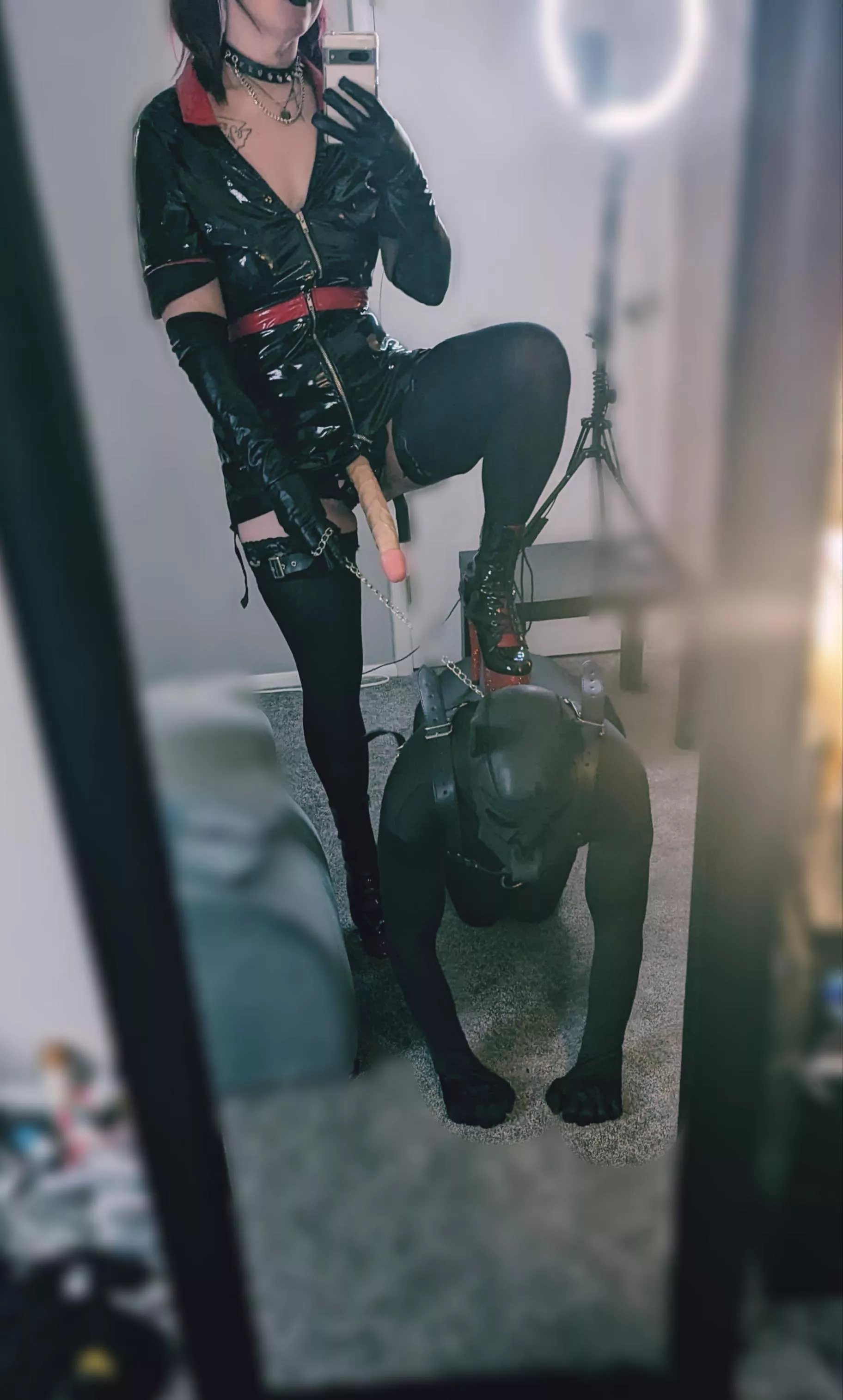 I love adopting new pets [domme] 🐶