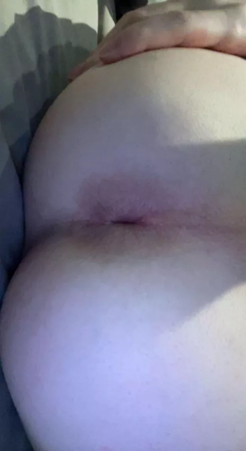 i want u to play with it before u breed me [18]