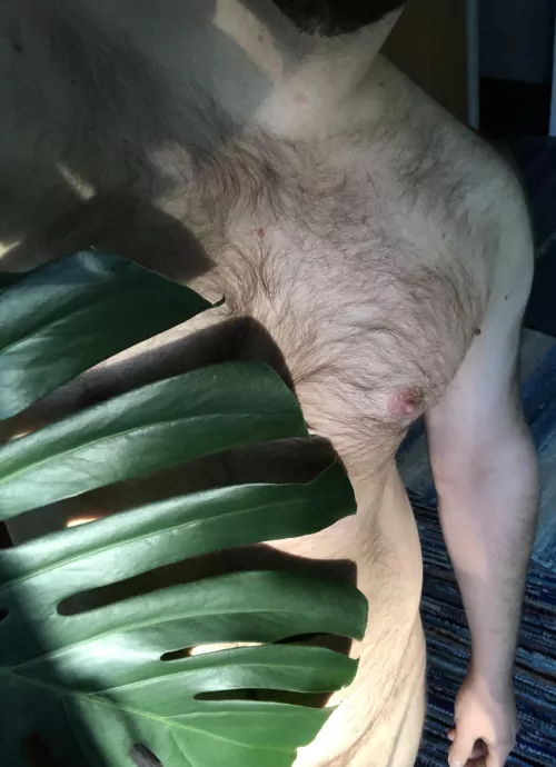 In the (indoor) jungle