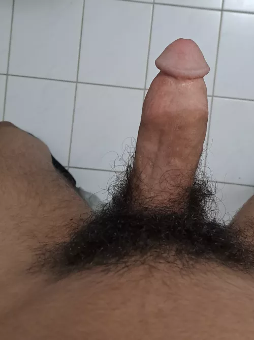 My Cut Cock dm if you like it