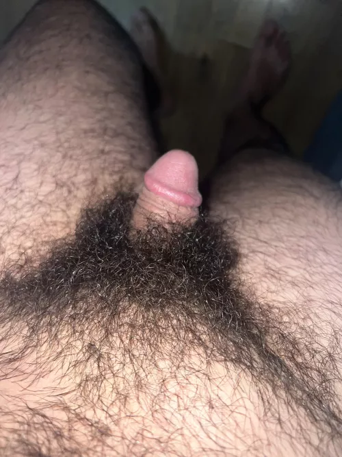 My heavy arab pubes
