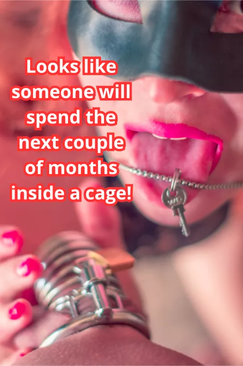 No matter how much you beg, I won't let you out!