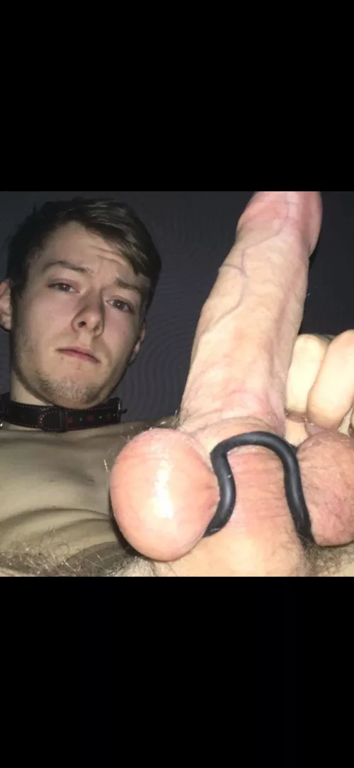 Please help me with this, I'll do what you want!