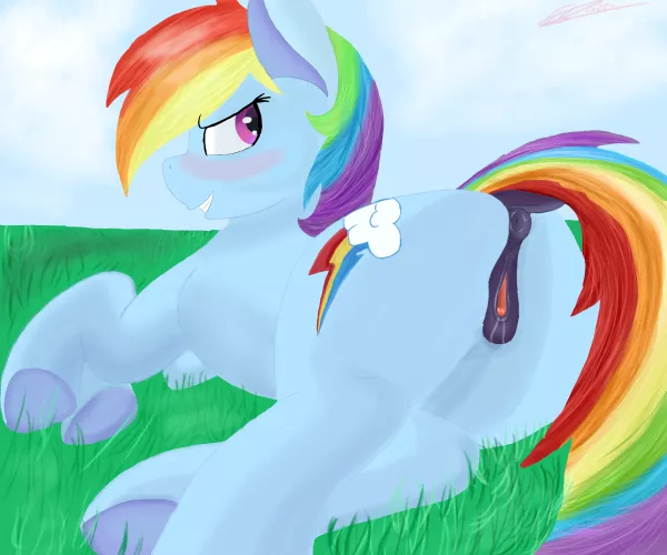 Rainbow Dash in a grassy field {Artist:me}