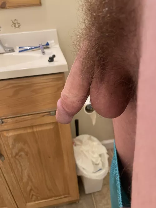 Semi hard circumcised teen penis