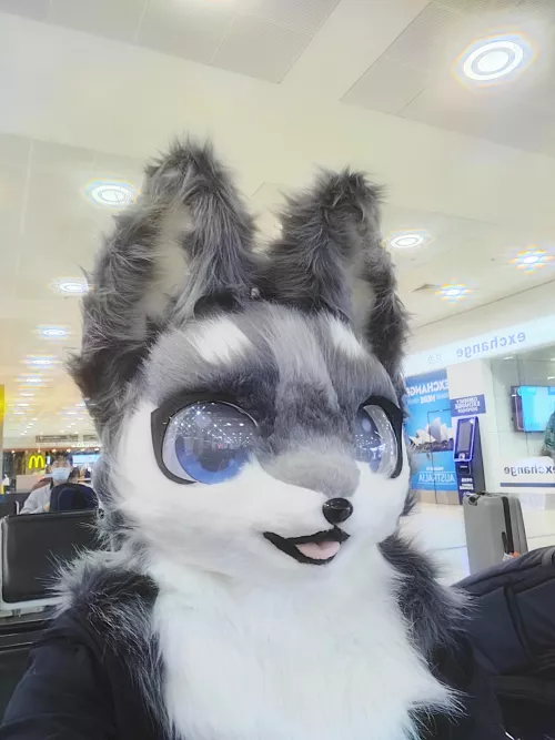 Update: I left the airport toilet and made it to Sydney safely! Had a lot of weird looks and people saying oh my god. Aussie border patrol were very cool