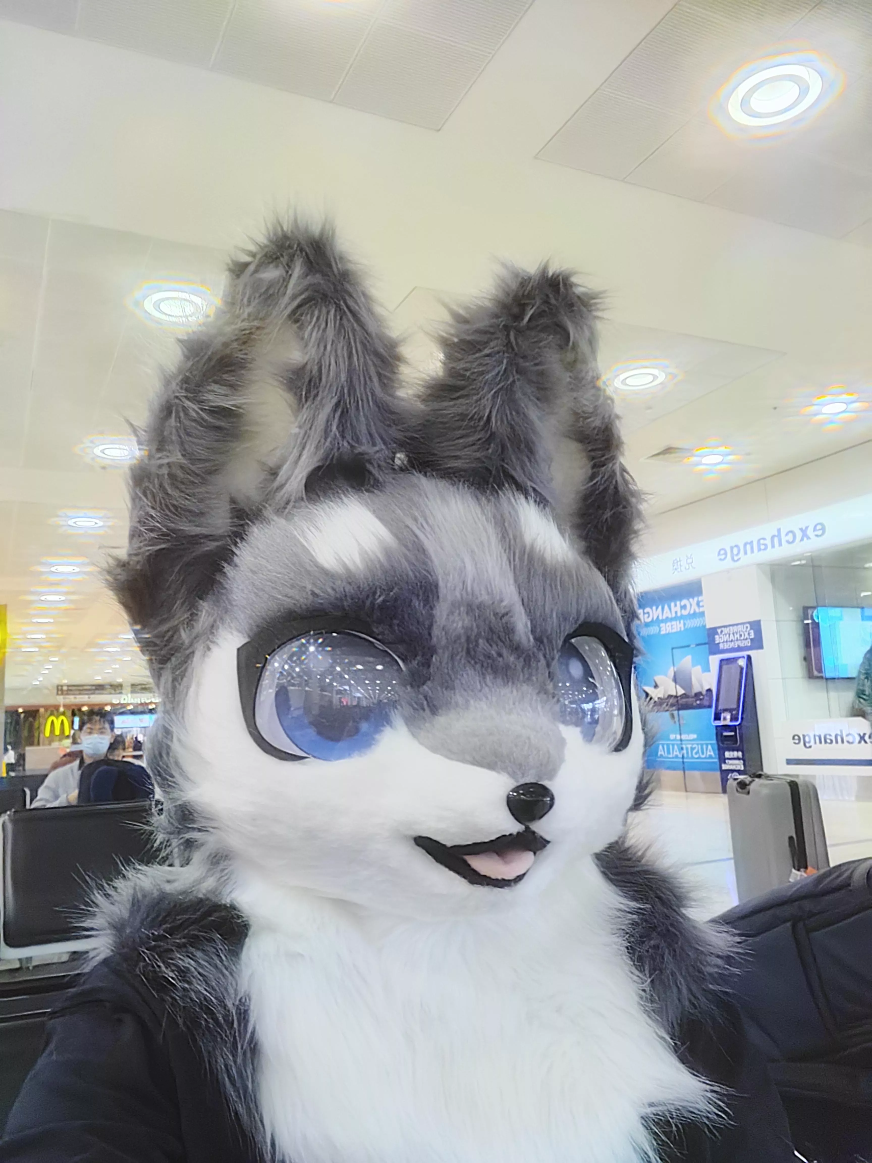 Update: I left the airport toilet and made it to Sydney safely! Had a lot of weird looks and people saying oh my god. Aussie border patrol were very cool