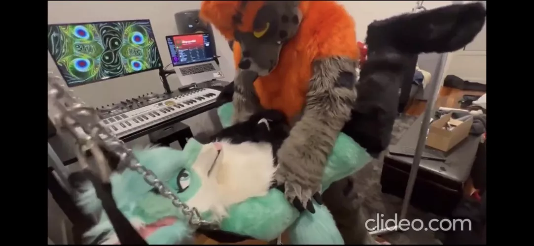 What Fursuit couple are these?