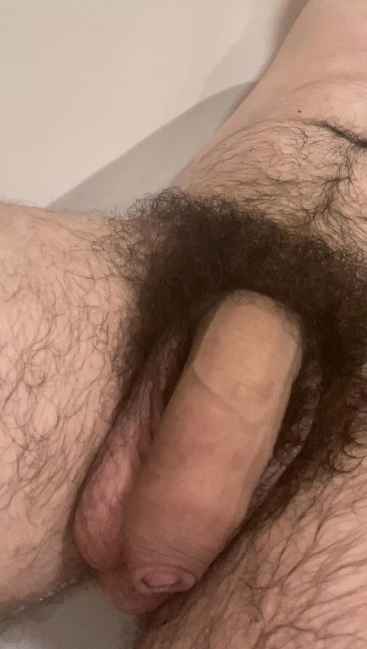 You like my big hairy cock?😏🍆Dms open😈