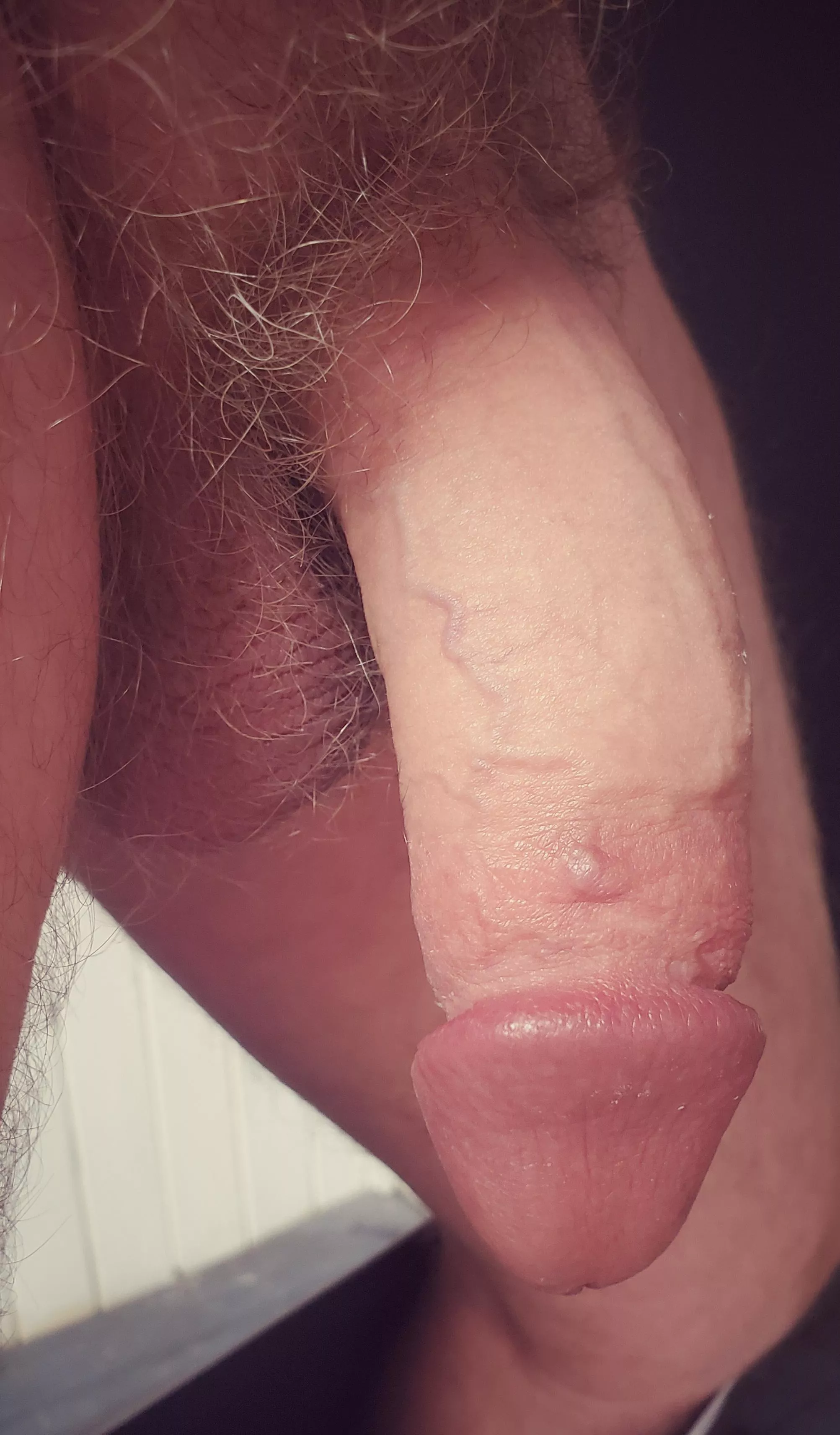 (45) Let's take the rest of the day off and get naked, bud. 😜