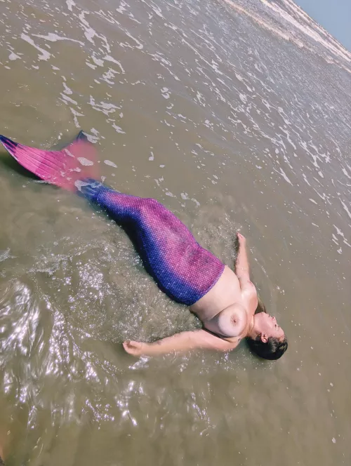 A mermaid has washed ashore
