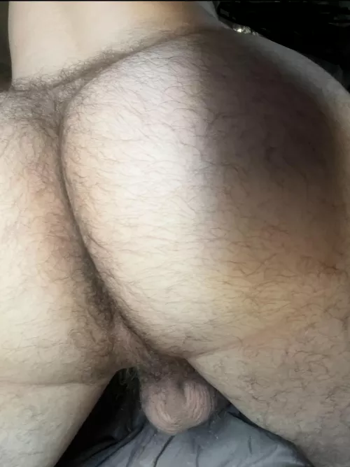 Any one like furry butts? (21)