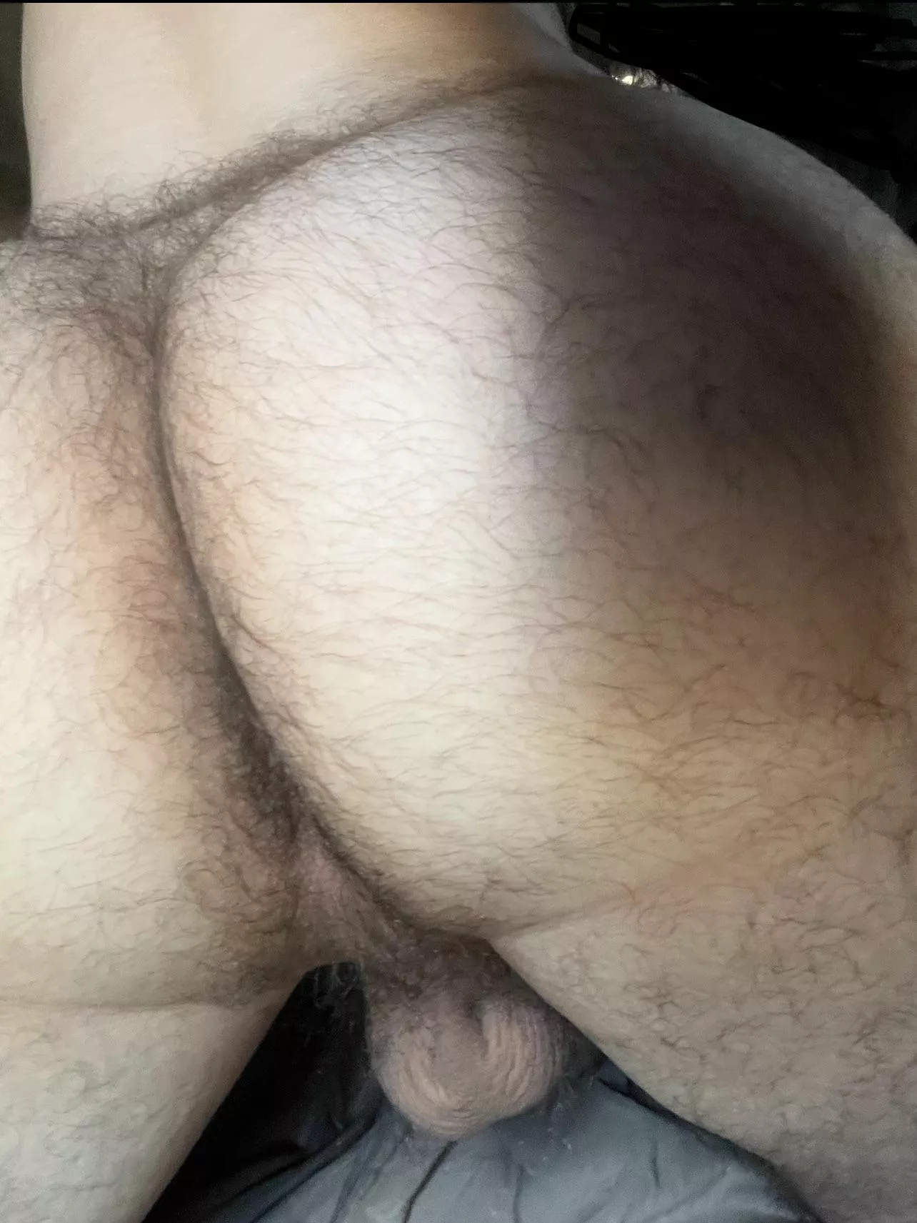 Any one like furry butts? (21)