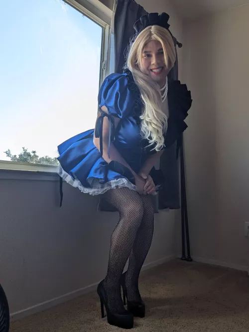 Anyone looking for a sissy maid to help clean? I'll clean anything/anyone!