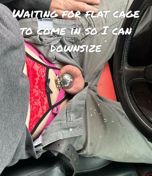 Cage inspection while at work