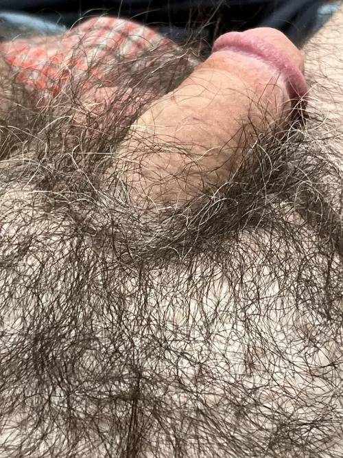 Calm before the storm