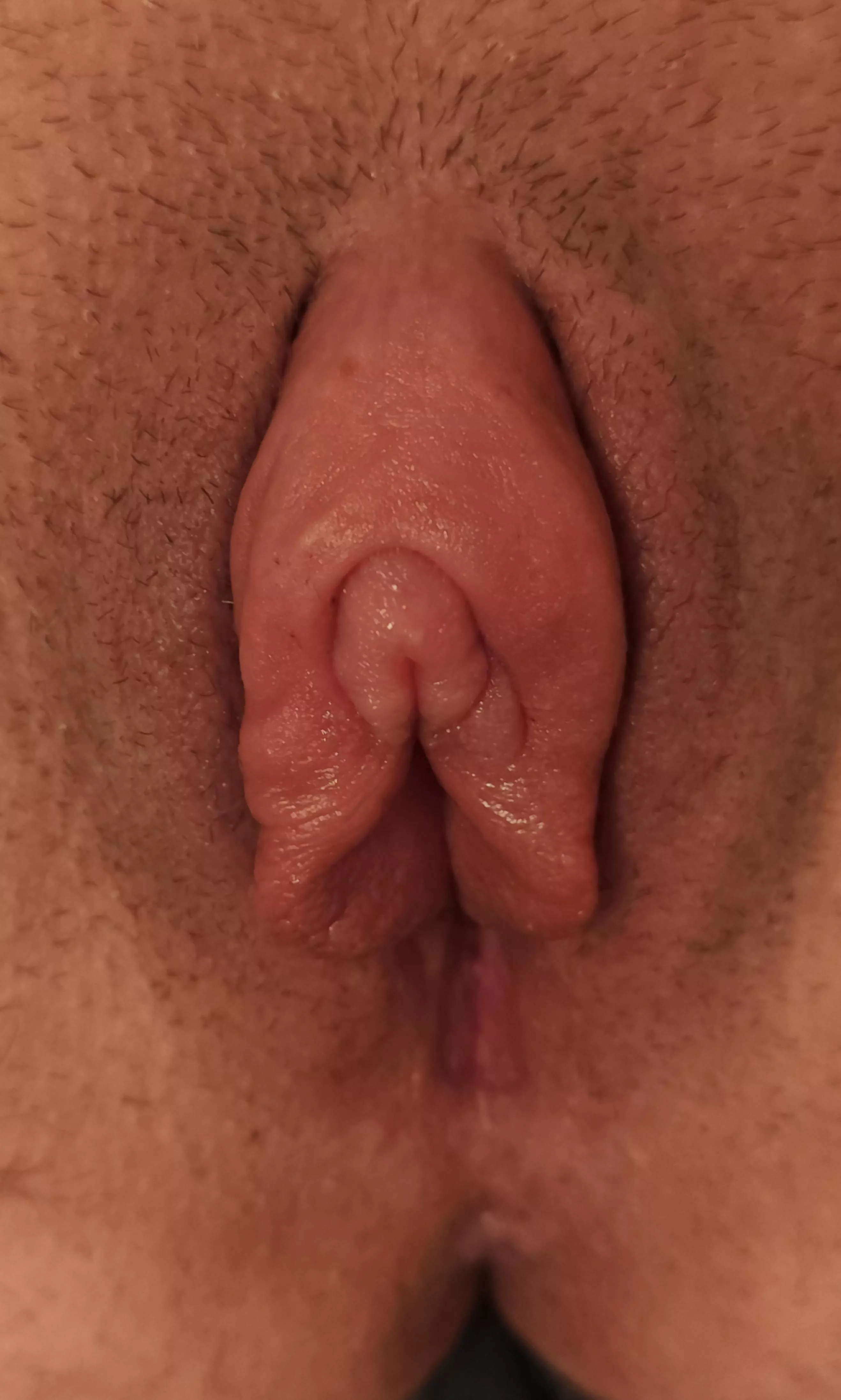 Came to say hi [ftm]